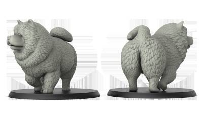 Chow Chow (2)